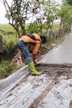 Manfaatkan Dana Desa, Pemdes Cipedang Gelar Kegiatan Cor Beton Jalan Desa Sepanjang 110 Meter
